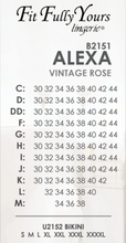 Load image into Gallery viewer, Alexa Bra B2151 - Black
