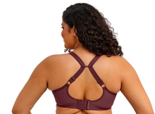 Load image into Gallery viewer, Matilda EL8900 FASHION Sugar Plum - Limited Availability!