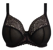 Load image into Gallery viewer, Tiernie EL303334 Plunge - Black