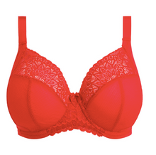 Load image into Gallery viewer, Tiernie EL303334 Plunge - Black