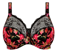 Load image into Gallery viewer, Morgan-EL4110 FASHION Colors