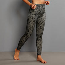 Load image into Gallery viewer, Sports Massage Tights 1696 - Python