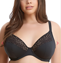 Load image into Gallery viewer, Indie Plunge Bikini Top