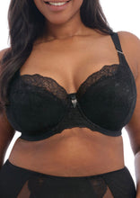 Load image into Gallery viewer, Brianna EL8081 Padded Half Cup Bra - Black