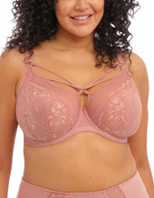 Load image into Gallery viewer, Brianna EL8080 Plunge Bra - FASHION (LAST CHANCE COLOR)