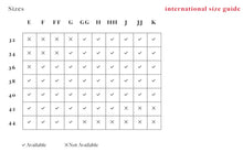 Load image into Gallery viewer, Brianna EL8080 Plunge Bra - FASHION (LAST CHANCE COLOR)