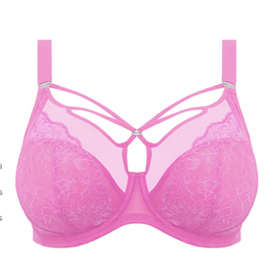 Brianna EL8080 Plunge Bra - FASHION Limited - Very Pink (LAST CHANCE COLOR)