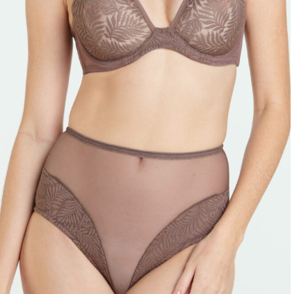 Palmier Full Brief 7701