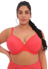Load image into Gallery viewer, Bijou T-shirt Bra EL8722-Fashion Color-Limited Availability
